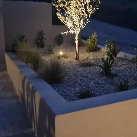 Marigold * חאניה